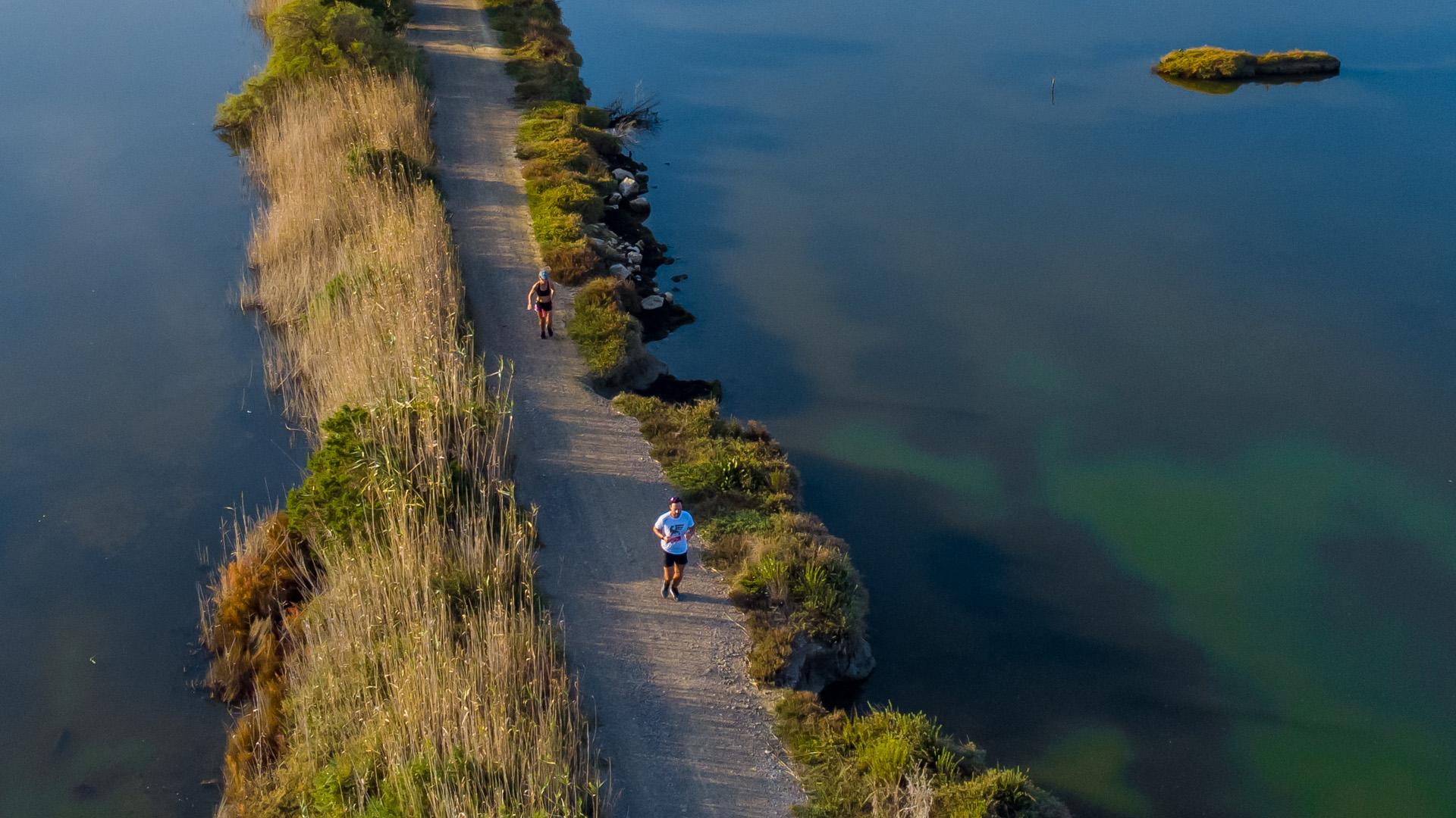 NAVARINO CHALLENGE